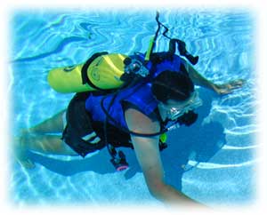 Diver Walt